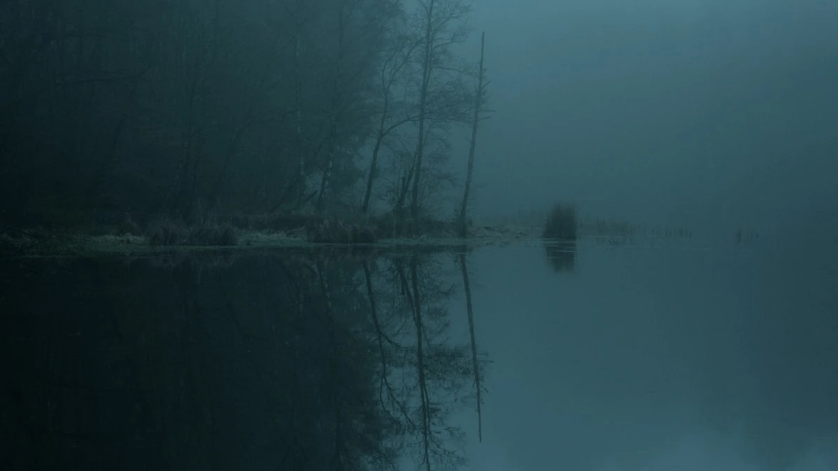 Faint mist drifts over a still dark lake with bare trees reflected in the water. — a The Obsidian Key guide to Ambient Worry: The Leak With No Event Attached.