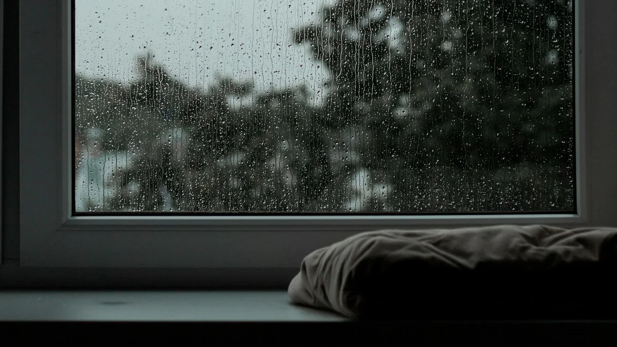 A rain-streaked window above a cushioned sill looks onto a grey early morning. — a The Obsidian Key guide to Assumption Scenes in the Book: From Inside the Eyes.
