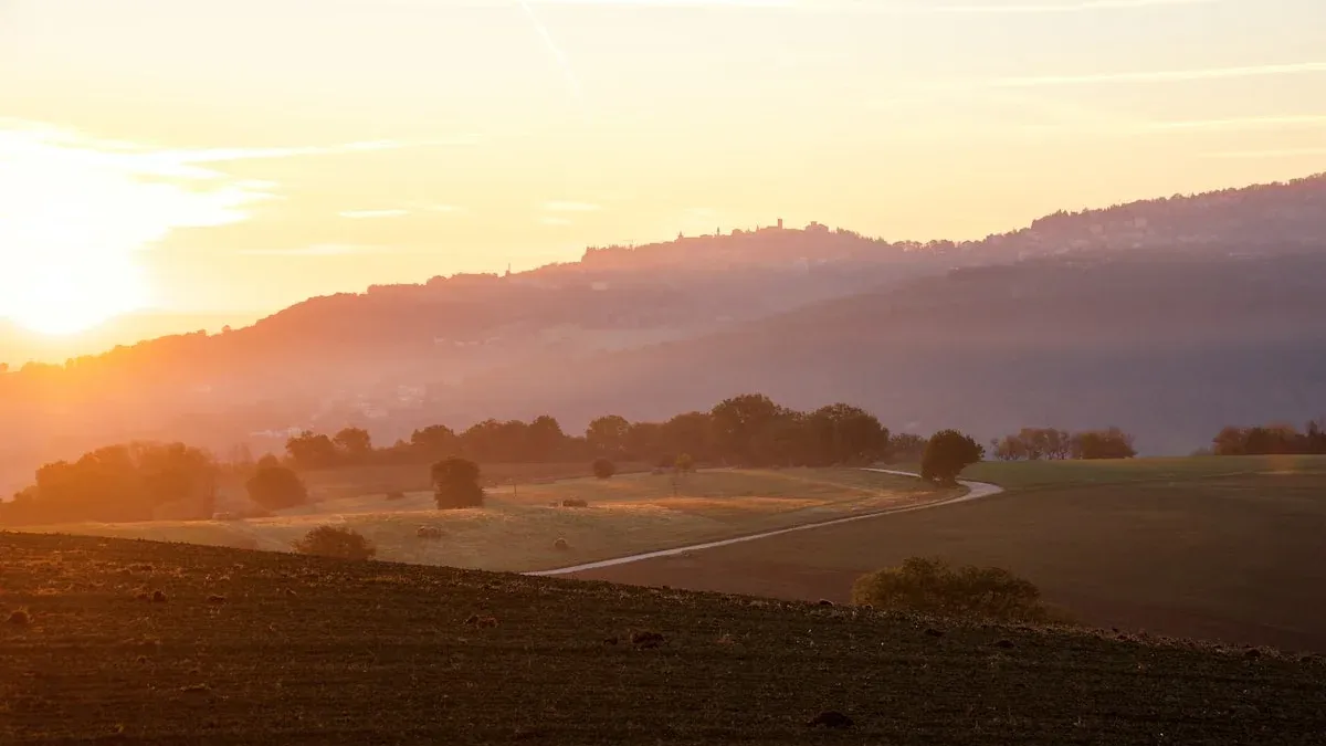 Golden sunrise over quiet misty fields with a winding dirt path. — a The Obsidian Key guide to Dawn Stillness: Why the Seat Works Best Before Sunrise.