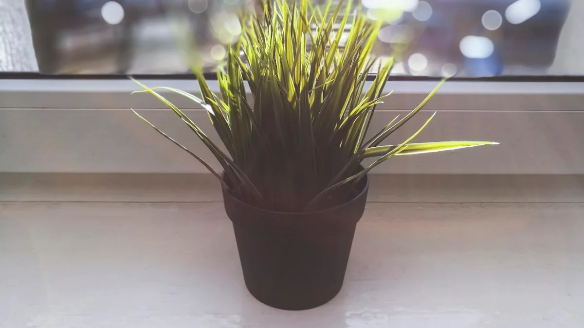 A leafy plant on a pale sill blurs against a dark window at dusk. — a The Obsidian Key guide to Label It Noise: The One Move Inside Stillness.