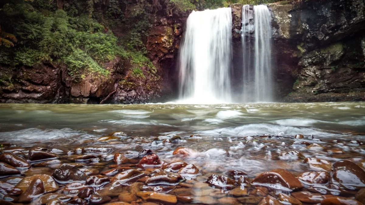A forest waterfall pouring over dark rocks into a current that flows past smooth wet stones. — a The Obsidian Key guide to Money Is Moving Signal: The Doctrine.