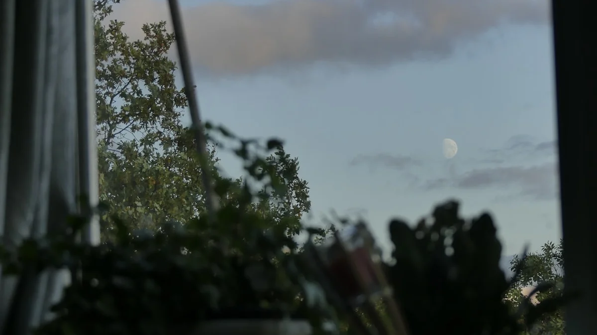 Houseplants sit silhouetted on a windowsill against a soft dusk sky with a rising moon. — a The Obsidian Key guide to Reclaim Your Evening: What Sealing Promises.