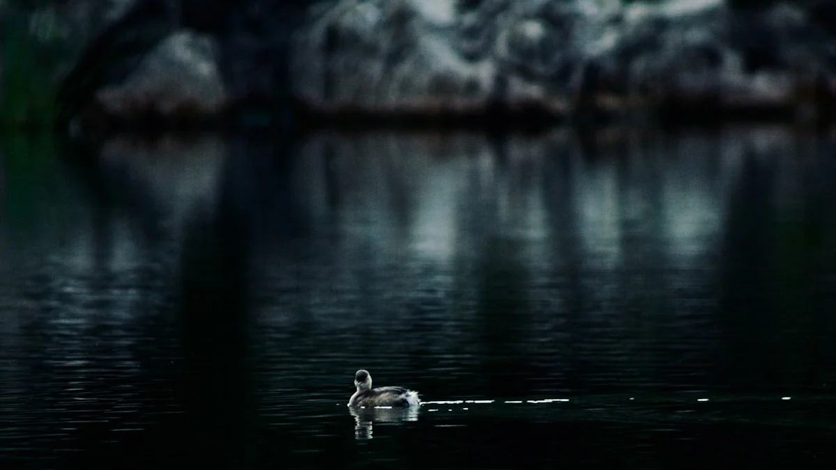 A small bird resting on still dark water with soft forest reflections. — a The Obsidian Key guide to The Regulated State: Why Calm Comes Before Asking.