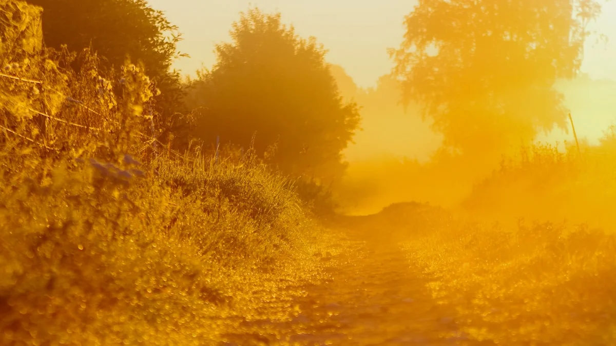 A dirt path leading through a golden misty field at dawn. — a The Obsidian Key guide to Missed the Evening Session? Resume Never Restart.