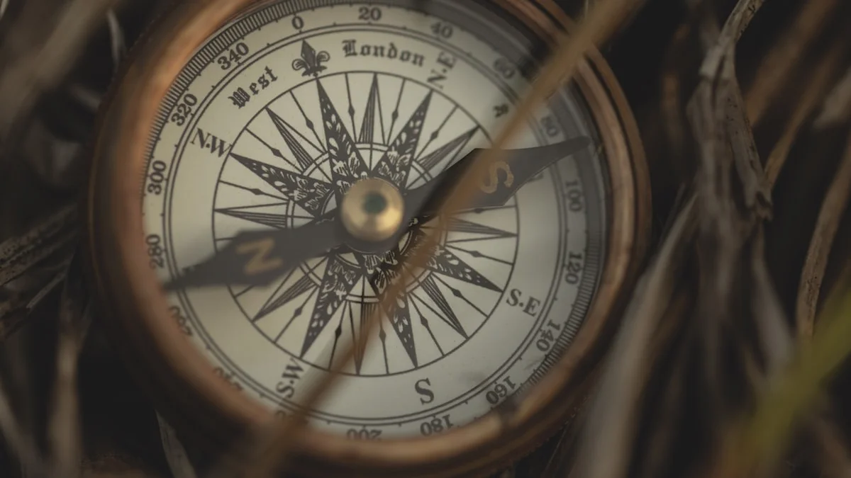An antique brass compass rests among dry grass stalks. — a The Obsidian Key guide to Run the Model: A Skeptics Guide to Testing the Field.