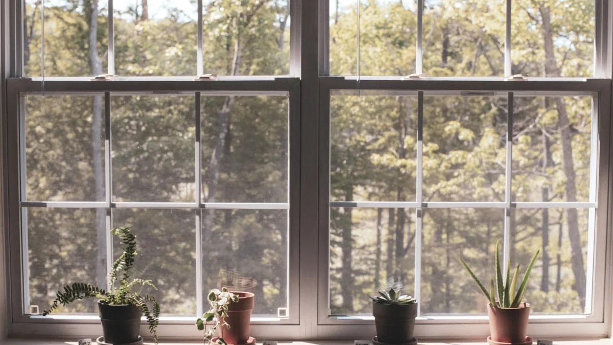 Potted plants line a white windowsill in front of a sunlit window with trees outside. — a The Obsidian Key guide to Stillness for Beginners: Your First Seven Days.