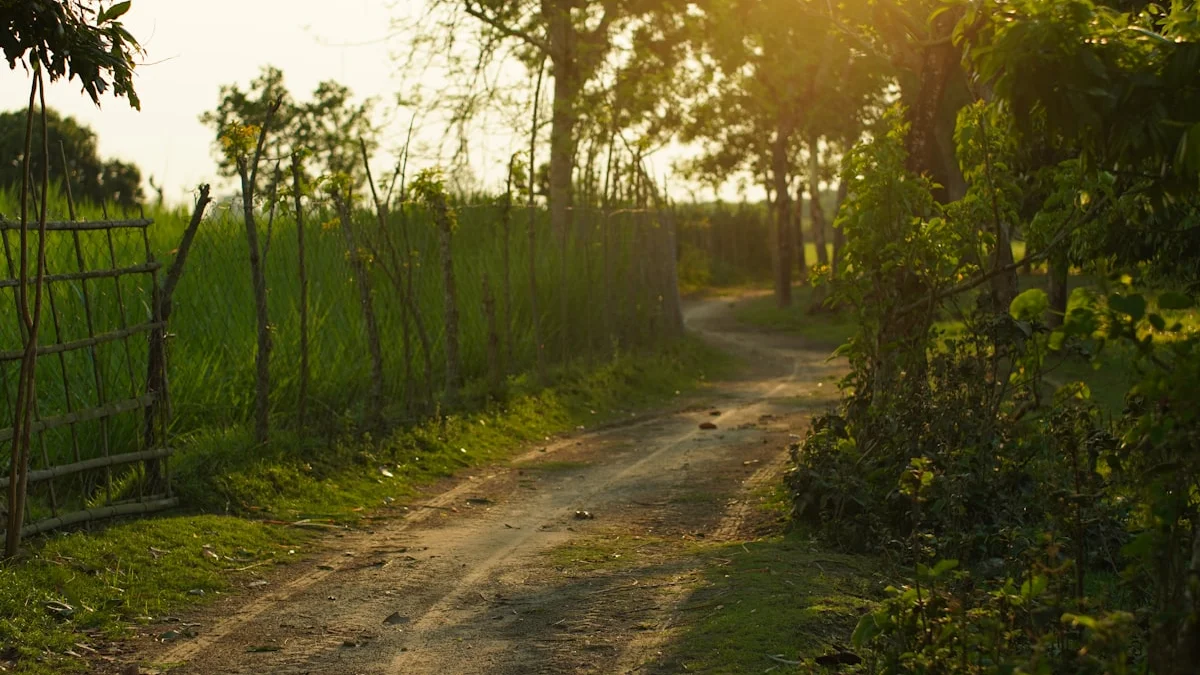 A narrow dirt path curves away between trees and fences in golden evening light. — a The Obsidian Key guide to The Eighth Law: The Unmarked Path.