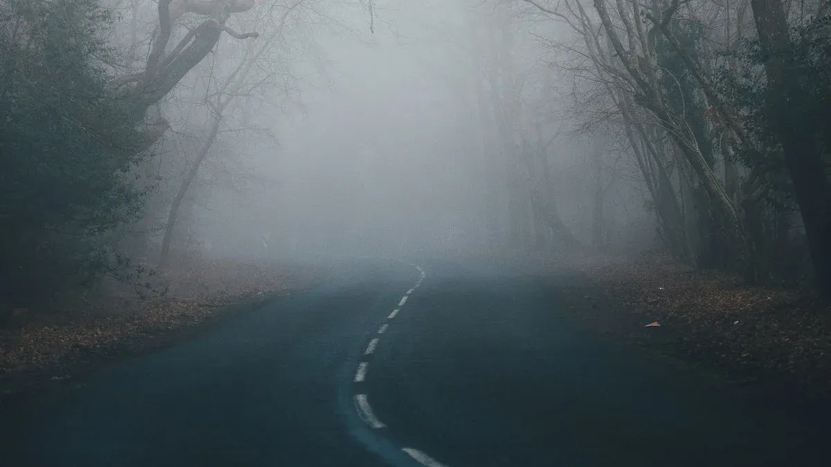 A narrow winding road disappears into thick fog between bare trees at a forest edge. — a The Obsidian Key guide to The Loop and the Path: Laws Seven and Eight as a Pair.
