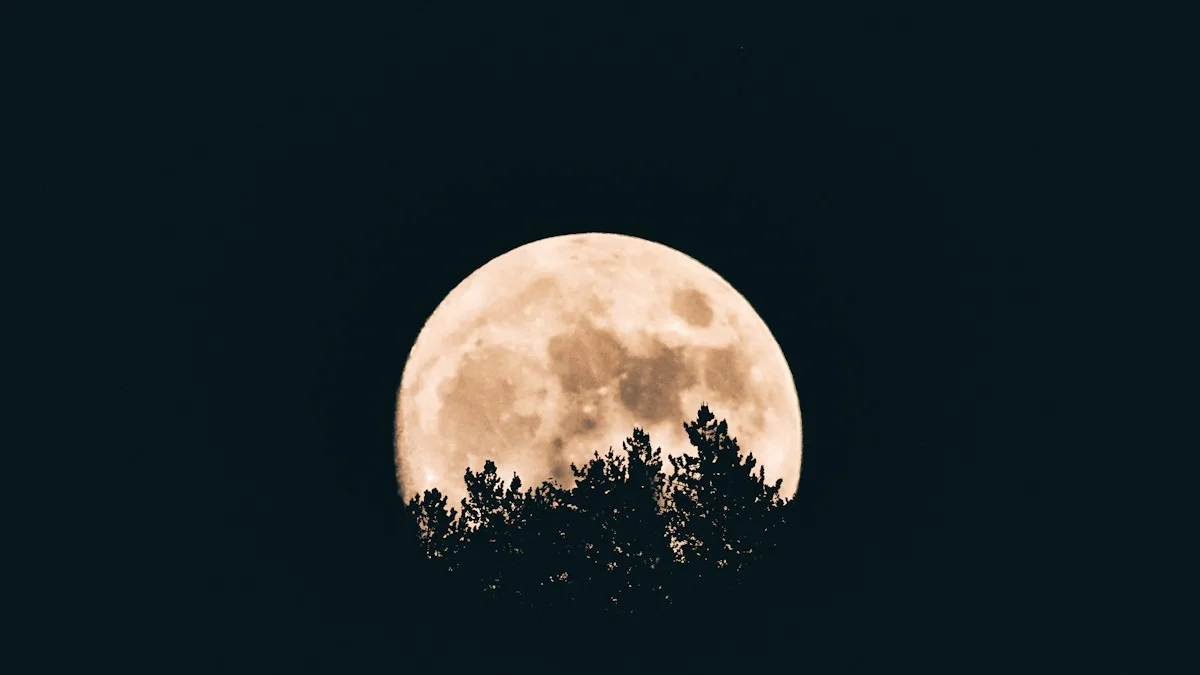 A full moon rises behind dark pine treetops at night. — a The Obsidian Key guide to The Shield Never Sleeps: Broadcasting Through the Night.