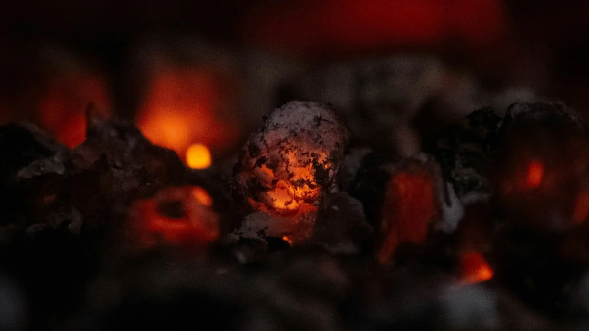 Embers glow orange and red inside a dark hearth, one coal burning through its ash. — a The Obsidian Key guide to The Unfinished Argument: Purest Modern Parasite.