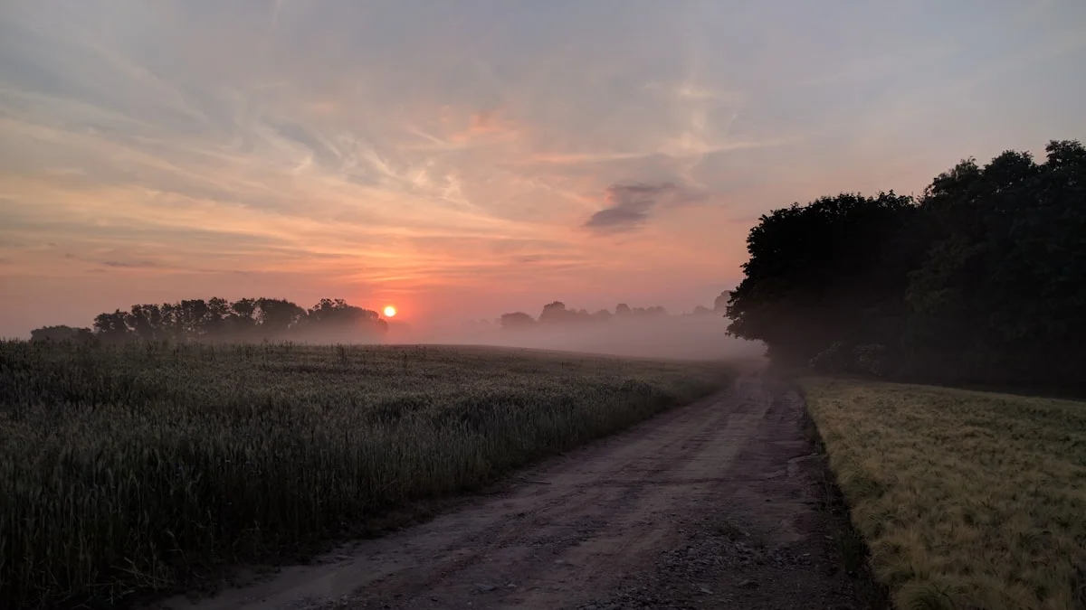 A gravel road runs back through misty fields toward a low sun under a dusk sky and bare trees. — a The Obsidian Key guide to Relapse on the Path: Returning After You Quit.