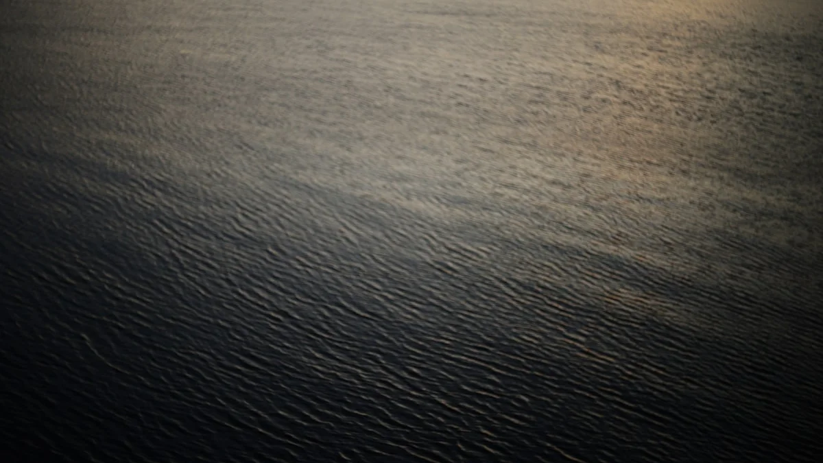 Gentle ripples cross dark water catching the last golden light of sunset. — a The Obsidian Key guide to Value Returns Parasites Insist: The Panic Test.