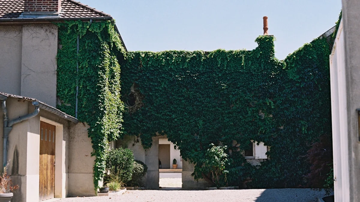 An ivy-covered wall opens into a bright courtyard through a low arched passage between old buildings. — a The Obsidian Key guide to What Counts as an Unfamiliar Opening (and What Never Does).