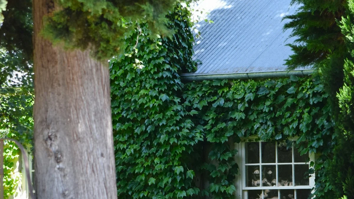 An ivy-covered house with a white window beneath a metal roof. — a The Obsidian Key guide to The Whole House Protocol: A Companion Audit.