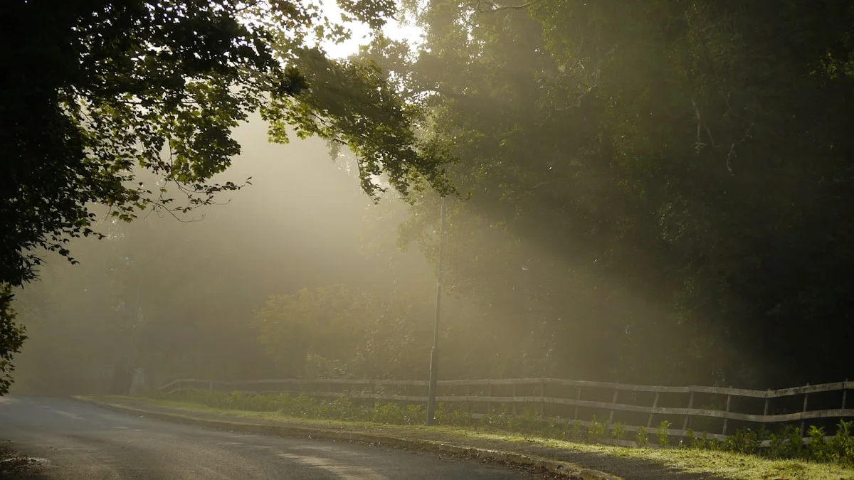 Sunlight falls through trees onto a quiet road curving away through morning fog. — a The Obsidian Key guide to Why the Lists Shrink: Rerouting From an Expensive Target.